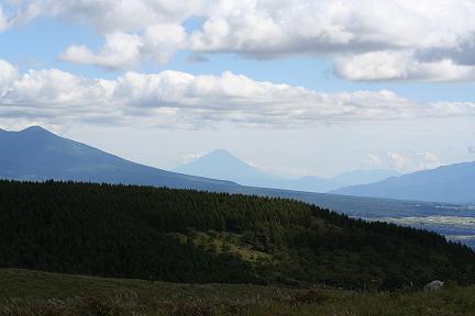 ����̕��i